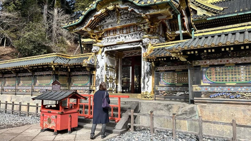 Nikko: Kegon Falls, Lake Chuzenji & Toshogu Temple - Who should book this Nikko day trip?
