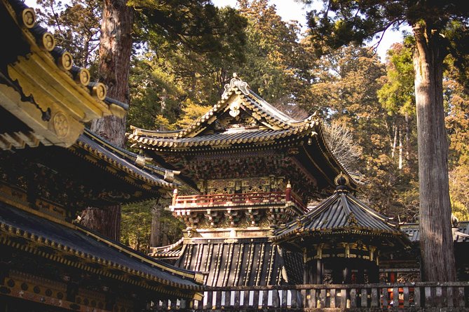 Nikko Private Day Tour from Tokyo with English-Speaking Driver - Why Nikko makes a worthwhile day trip from Tokyo