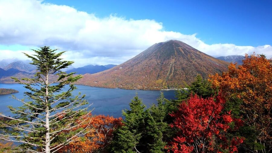 Nikko: Private Walking Tour with Local Guide - Rinnoji Temple and extra cultural stops