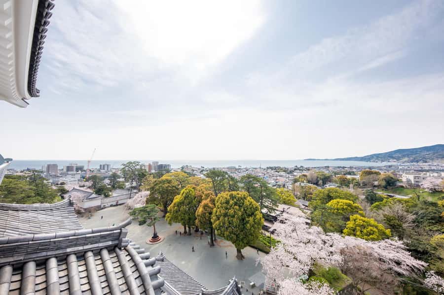 Odawara: Guided Ninja & Samurai Tour of Odawara Castle - Why families tend to get so much from it
