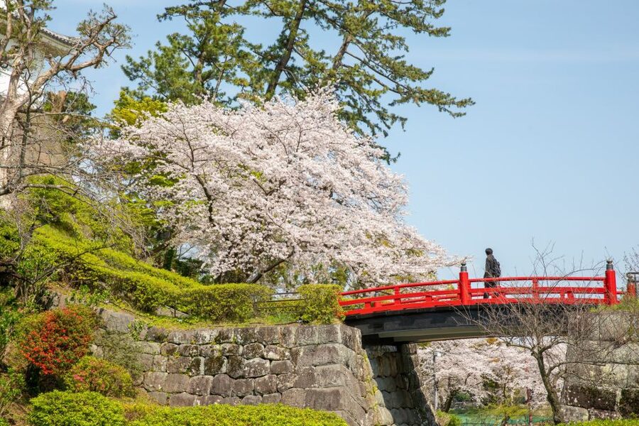 Odawara: Odawara Castle Tenshukaku Entrance Ticket - Why the view from Odawara Castle is the main event