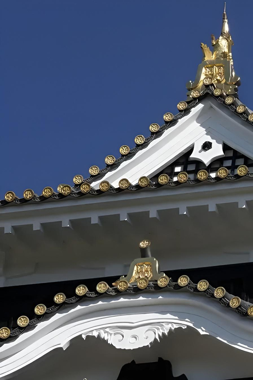 Okayama Castle Admission Ticket - The view and photo opportunities