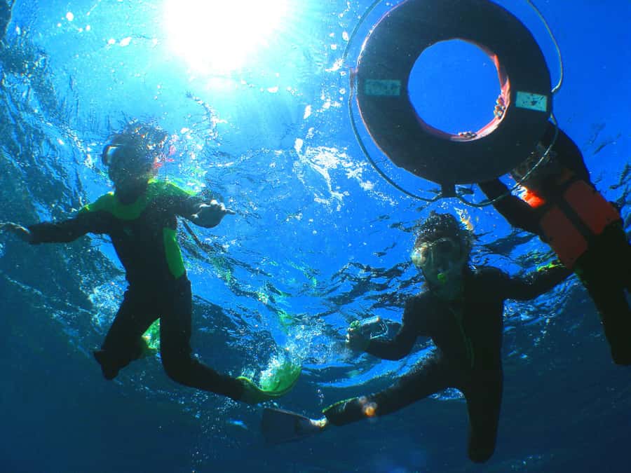Okinawa: From Naha: Kerama Islands 1-day snorkeling tour - Whale watching from January 12 through March