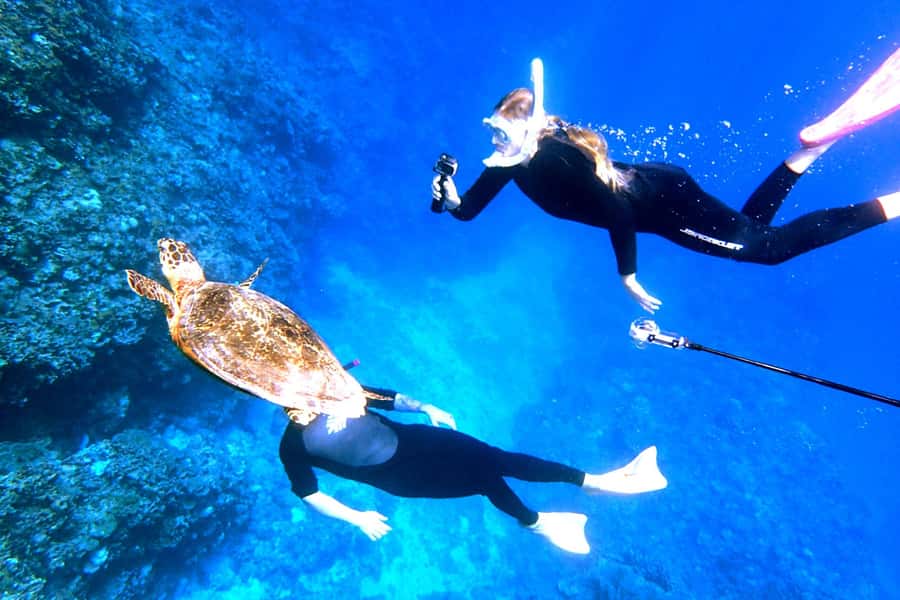 Okinawa: From Naha: Kerama Islands 1-day snorkeling tour - Hotel pickup, port access, and the daily rhythm