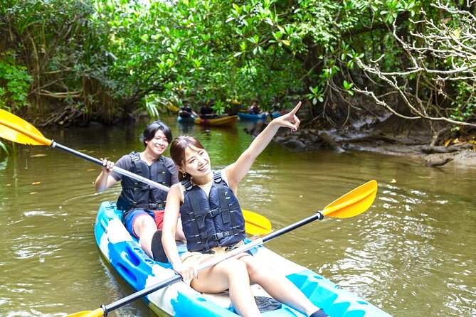 Okinawa Iriomote Mangrove SUP or Canoe and Splash Canyoning Tour - What the $99.10 price includes