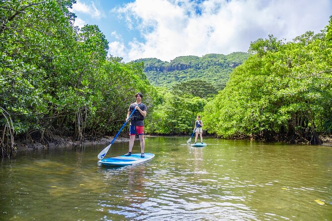 Okinawa Iriomote Mangrove SUP or Canoe Tour - Why two hours can be enough
