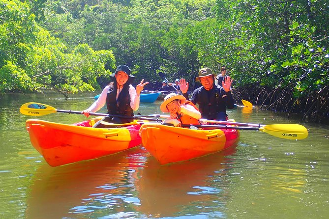 Okinawa Iriomote Mangrove SUP or Canoe Tour - What the $52.40 price really covers
