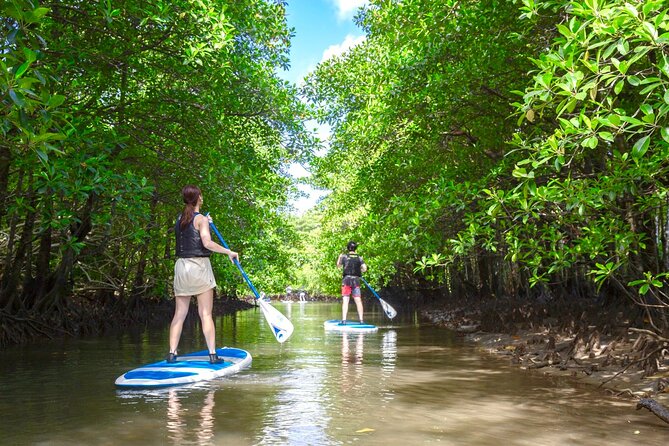 Okinawa Iriomote Mangrove SUP or Canoe Tour - Safety, clothing, and weather details