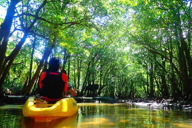 Okinawa Iriomote Mangrove SUP or Canoe Tour - Who will enjoy this river trip most