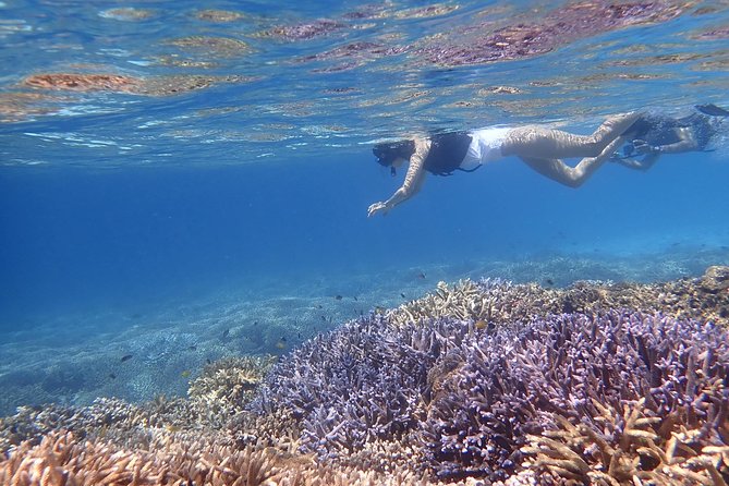 Okinawa Iriomote Snorkeling Tour at Coral Island - Why Barasu Island makes this short tour worthwhile