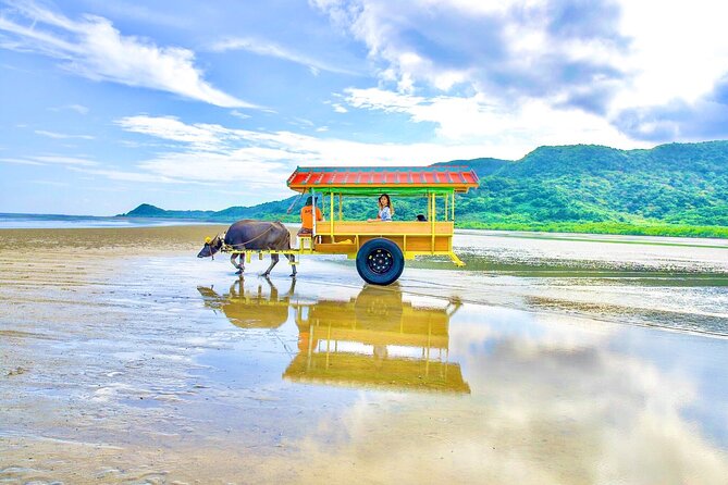 Okinawa Iriomote SUP or Canoe and Sightseeing in Yubujima Island - Choosing SUP or canoe on Iriomote