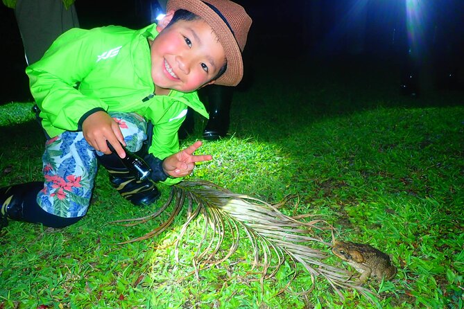Okinawa Ishigaki Island Night Starry sky and Jungle night tour - Why Ishigaki looks different after sunset