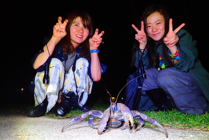 Okinawa Ishigaki Island Night Starry sky and Jungle night tour - The guides make the difference