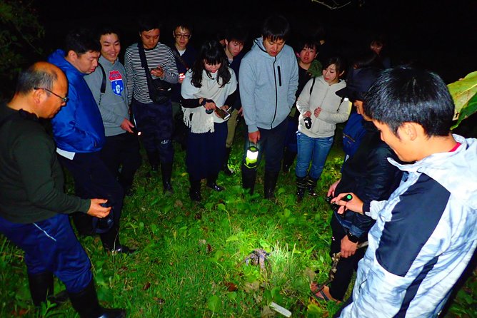 Okinawa Ishigaki Island Night Starry sky and Jungle night tour - Weather, clothing, and practical limits