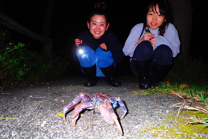 Okinawa Ishigaki Island Night Starry sky and Jungle night tour - Into the forest: a short walk with a sharp focus