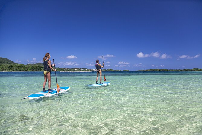 Okinawa Ishigaki Kabira Bay SUP or Canoe Tour - SUP or canoe: choosing the right fit