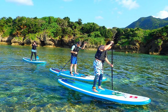 Okinawa Ishigaki Kabira Bay SUP or Canoe Tour - Language support and group size