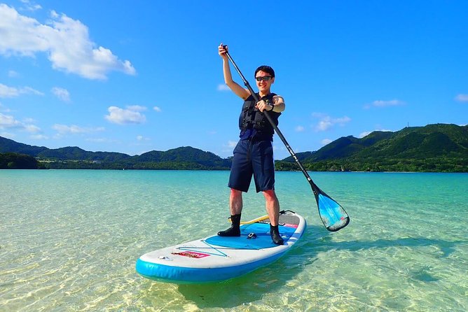 Okinawa Ishigaki Kabira Bay SUP or Canoe Tour - Who will enjoy this Ishigaki activity most
