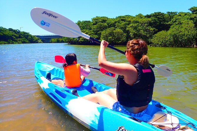 Okinawa Ishigaki Mangrove SUP or Canoe Tour - A quiet paddle through Ishigaki’s Miyara River