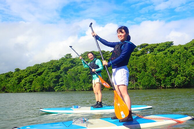Okinawa Ishigaki Mangrove SUP or Canoe Tour - Choosing between SUP and canoe