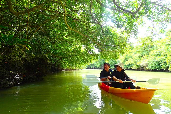 Okinawa Ishigaki Mangrove SUP or Canoe Tour - The guide can make the difference