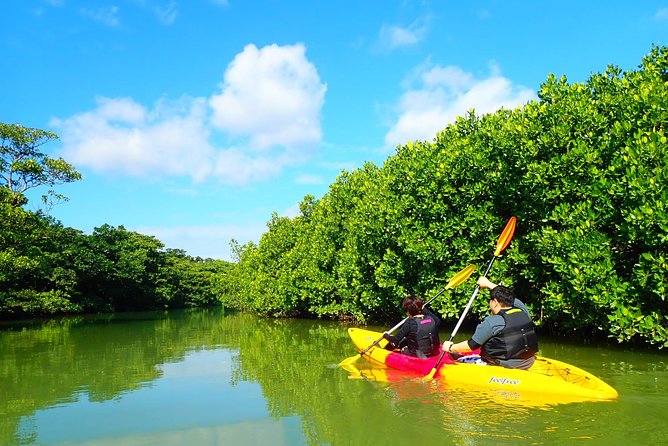 Okinawa Ishigaki Mangrove SUP or Canoe Tour - A 90-minute outing that fits an Ishigaki schedule
