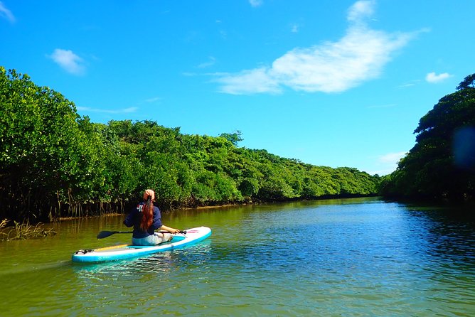 Okinawa Ishigaki Mangrove SUP or Canoe Tour - Clothing, weather, and the shower stop