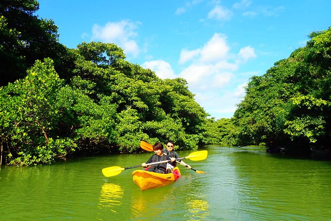 Okinawa Ishigaki Mangrove SUP or Canoe Tour - Is $52.19 a fair price?