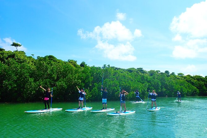 Okinawa Ishigaki Mangrove SUP or Canoe Tour - Who should book this Ishigaki paddle?