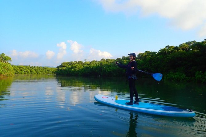 Okinawa Ishigaki Mangrove SUP or Canoe Tour - Booking advice and cancellation terms