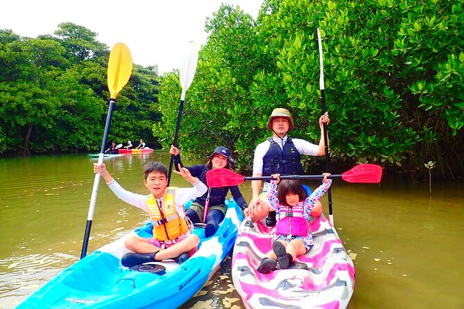 Okinawa Ishigaki Mangrove SUP or Canoe Tour - What makes the Hirugi Grove worthwhile