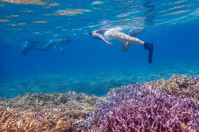 Okinawa Ishigaki Phantom Island and Blue Cave Snorkeling - Free photos make a real difference