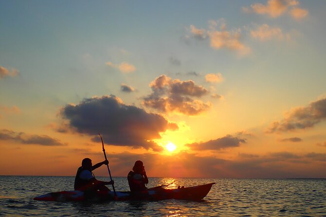 Okinawa Ishigaki Sunset SUP or Canoe Tour - Miyara River Hirugi Grove and its mangrove setting