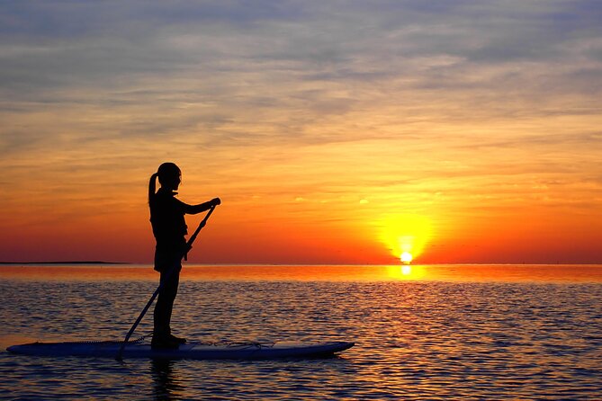 Okinawa Ishigaki Sunset SUP or Canoe Tour - Who will enjoy this Ishigaki activity?