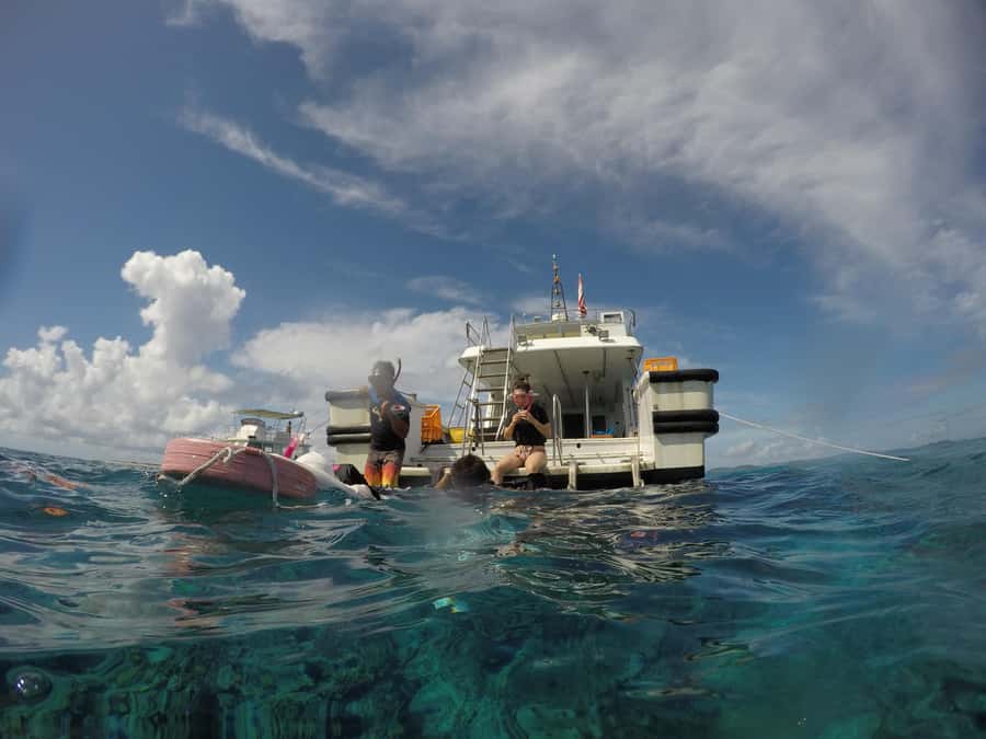 Okinawa : Kerama Whole Day Snorkeling Tour From Chatan/Naha - Key points to know before booking