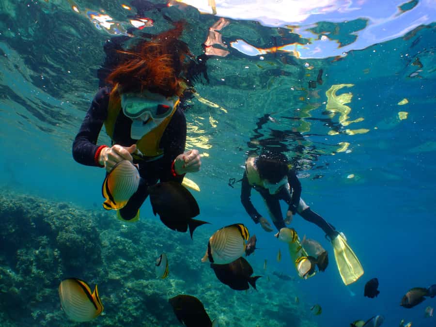 Okinawa : Kerama Whole Day Snorkeling Tour From Chatan/Naha - Why Kerama National Park makes this day special