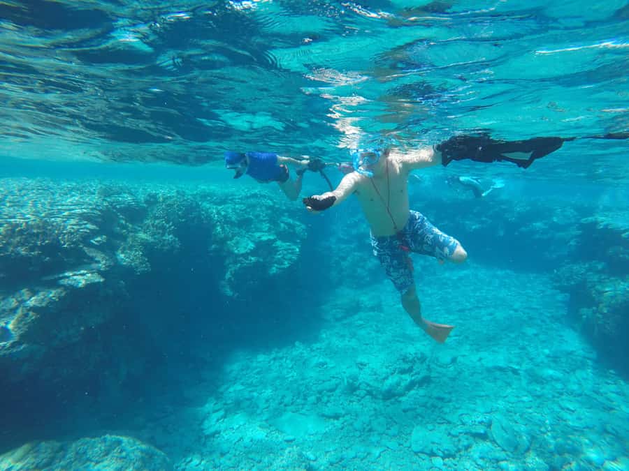Okinawa : Kerama Whole Day Snorkeling Tour From Chatan/Naha - The snorkeling stops and what you may see