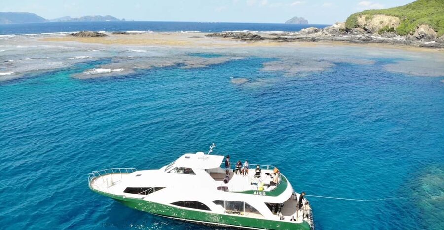 Okinawa: Naha: 1 day Kerama Islands diving‣ license required - Winter comfort, whales, and New Year mochi
