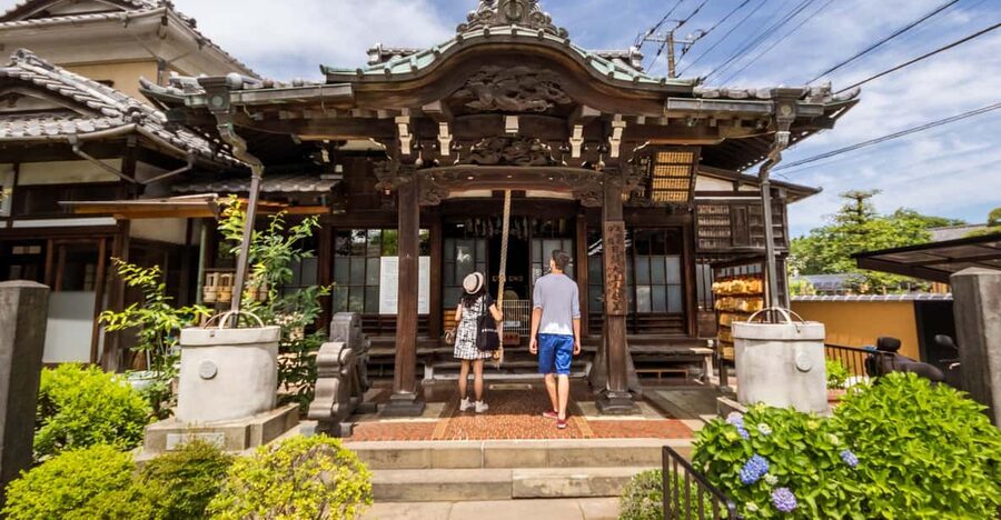 Old and Nostalgic Tokyo: Half-Day Yanaka Walking Tour - Who should book this Yanaka walk?