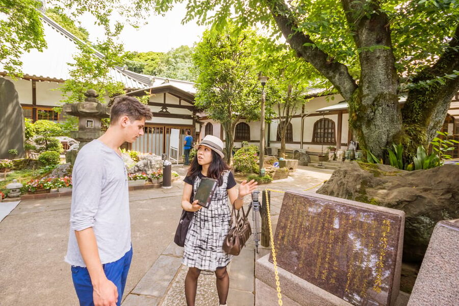 Old and Nostalgic Tokyo: Half-Day Yanaka Walking Tour - Slopes, back streets, and old Tokyo views