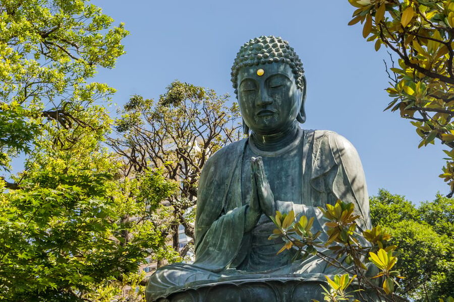 Old and Nostalgic Tokyo: Half-Day Yanaka Walking Tour - Is $83 a fair price?