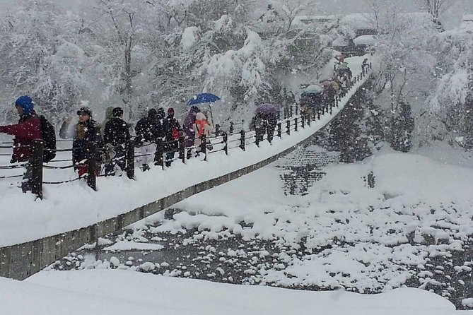 [One-day bus tour departing from Kanazawa Station] Shirakawa-go/Takayama tour platinum route bus tour - Key points at a glance
