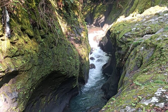 One-Day Customized Minami-Aso & Takachiho Tour - Why this private Kyushu day works