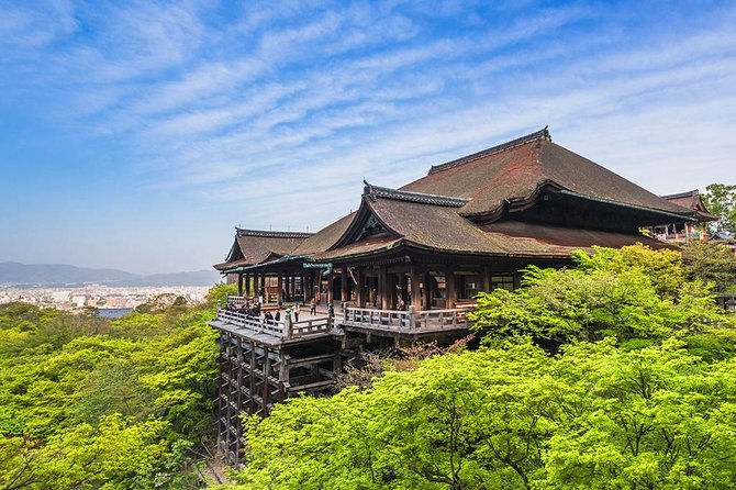 One-Day Tour of Kyoto's Highlights from Osaka/Kyoto - How the guides shape the day