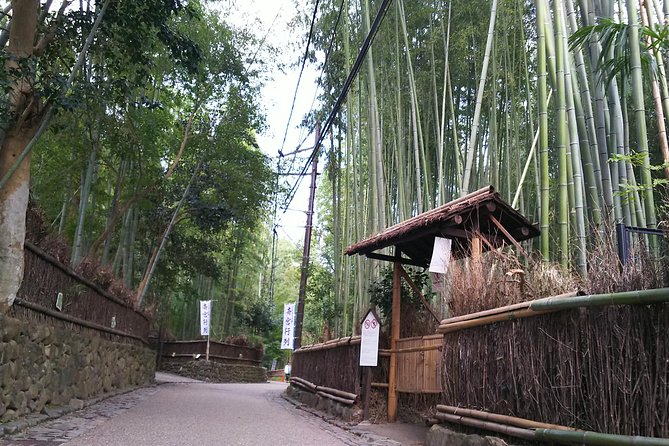 One-Day Walking Tour : Enjoy Kyoto to the fullest! - Gion, old lanes, and the chance of seeing a geisha