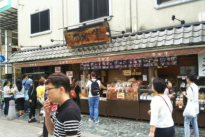 One-Day Walking Tour of Amazing 8th Century Capital Nara - What the private guide changes