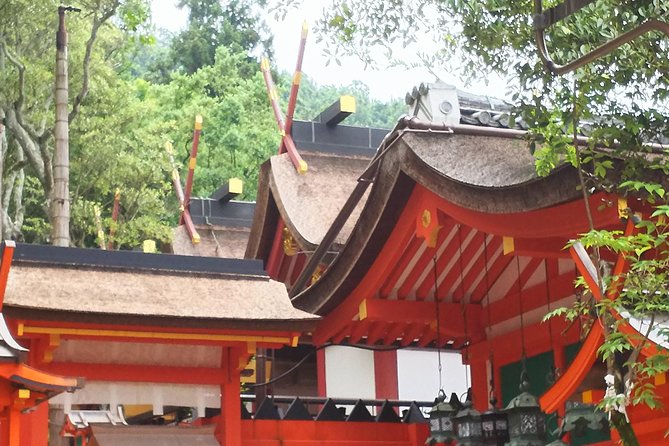 One-Day Walking Tour of Amazing 8th Century Capital Nara - Price, walking, and what you actually pay