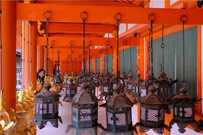 One-Day Walking Tour of Amazing 8th Century Capital Nara - Who should book this Nara tour