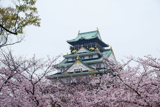Osaka Castle & Samurai History Walking Tour - Why Osaka Castle matters beyond the postcard view