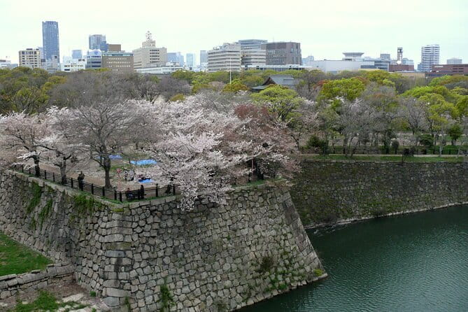 Osaka Castle & Samurai History Walking Tour - Nishinomaru Garden for the best castle photographs